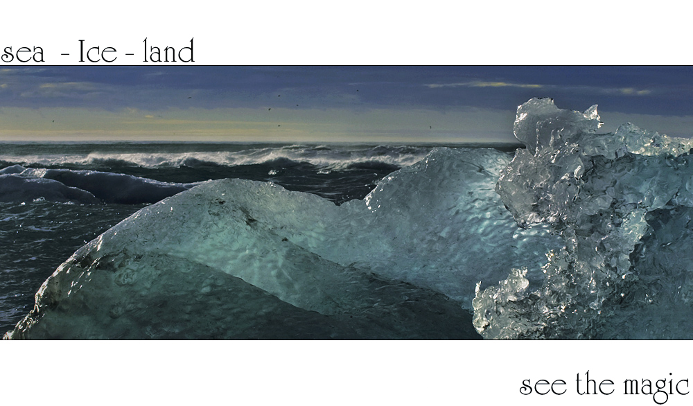 sea - Ice - land