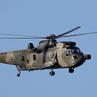 Sea King