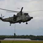 sea king