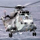 Sea King