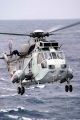 Sea King