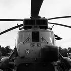 Sea King - Mk 41