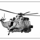 Sea King MK41