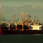 SEA LAVENDER / Bulk Carrier / Rotterdam