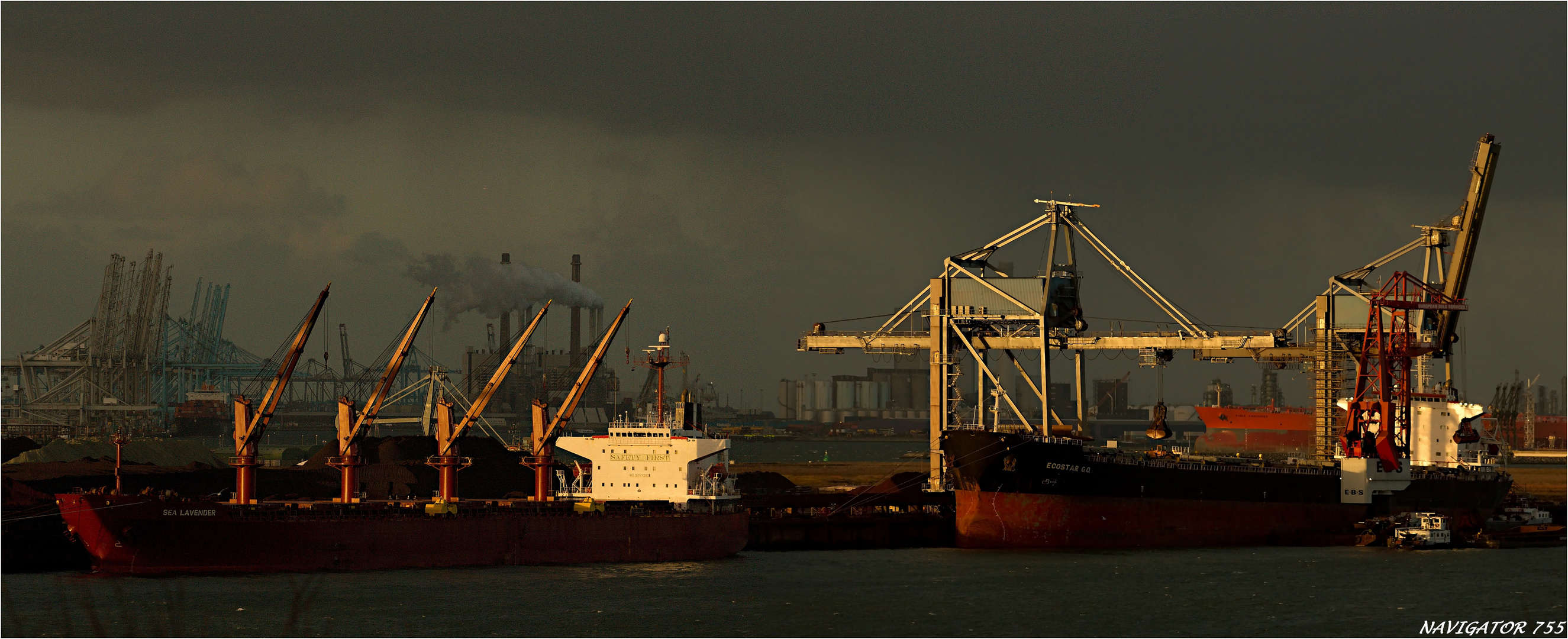 SEA LAVENDER + ECOSTAR GO / Bulk Carrier / Rotterdam