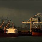 SEA LAVENDER + ECOSTAR GO / Bulk Carrier / Rotterdam