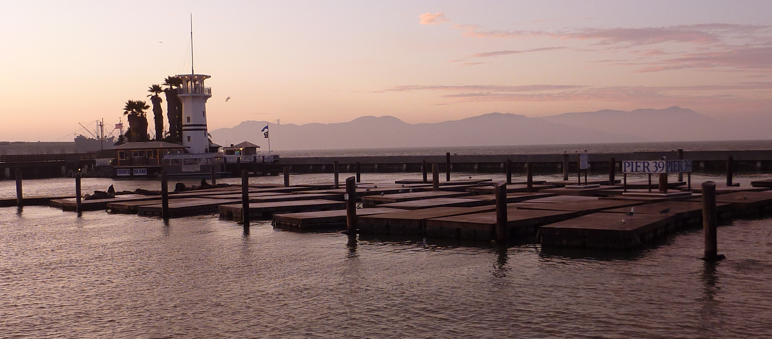 Sea Lions are gone - San Francisco, CA