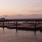 Sea Lions are gone - San Francisco, CA