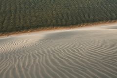 Sea meets Desert