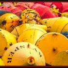 Sea of Buoy