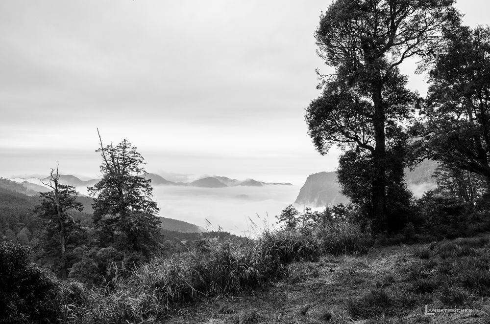 Sea of Clouds