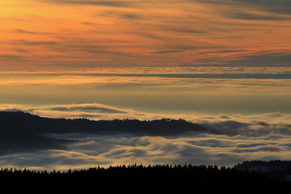 sea of fog