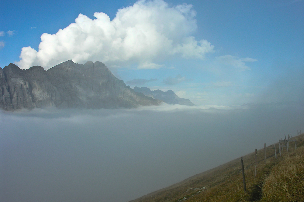 sea of fog