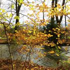 Sea of Leaves