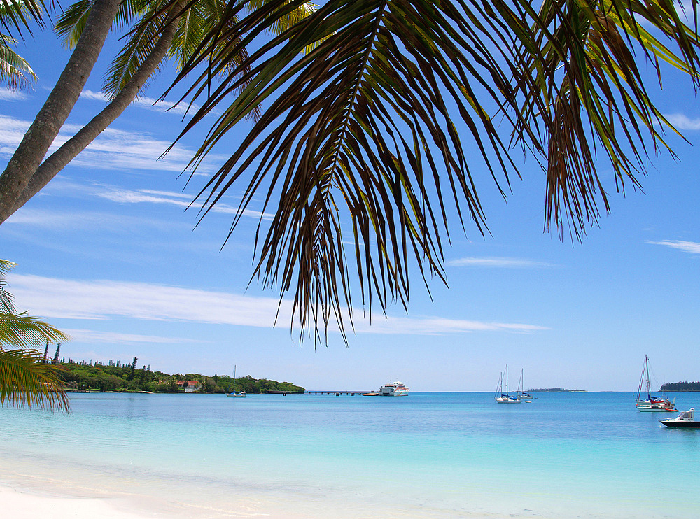 Sea, palms and sun