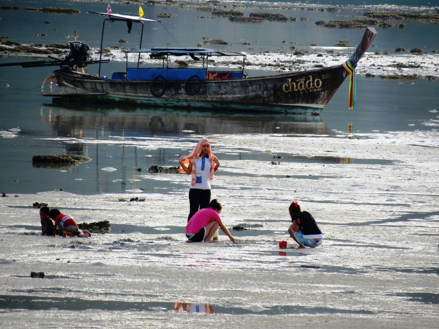 Sea Shell Hunters