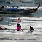 Sea Shell Hunters