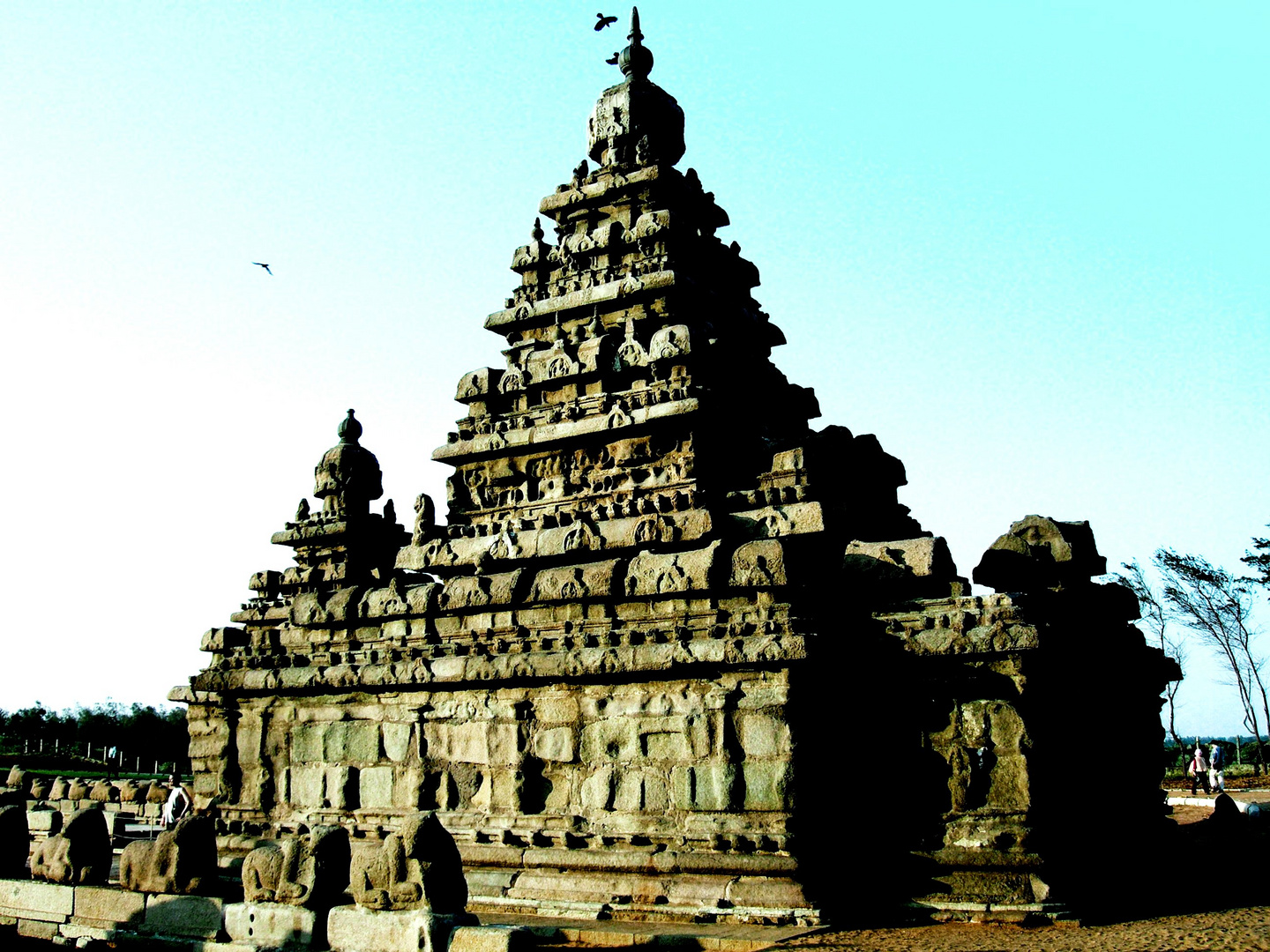 Sea Shore Temple in Mahabalipuram