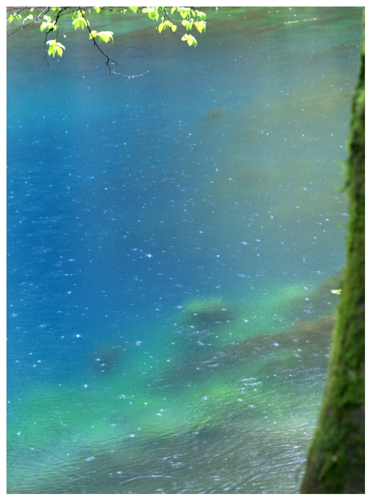 Sea [si:] . . . Blautopf III