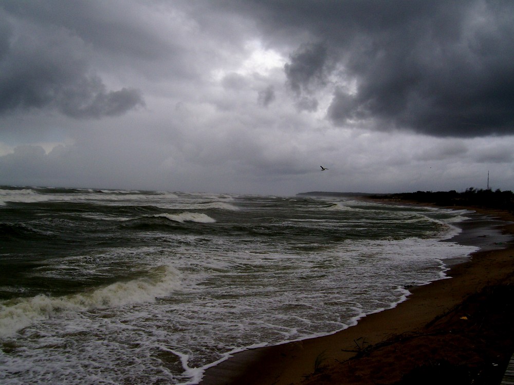 Sea storm