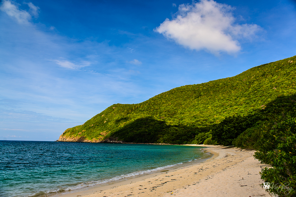 Sea tortoise reservation place in Con Dao