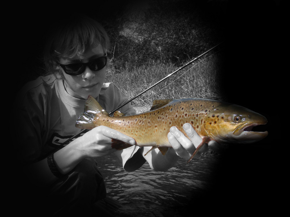 Sea-Trout fever