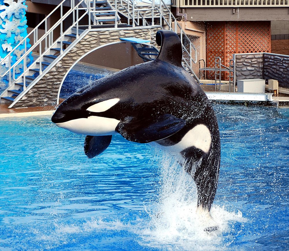 Sea World 3