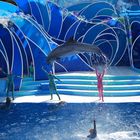 Sea World 5