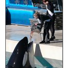 Sea World