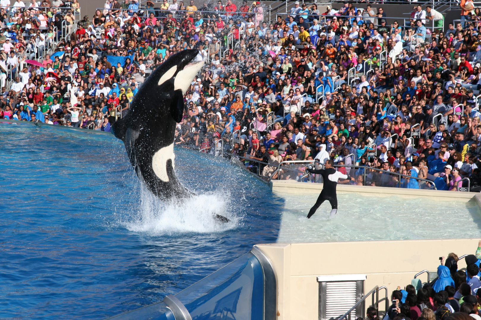 Sea World