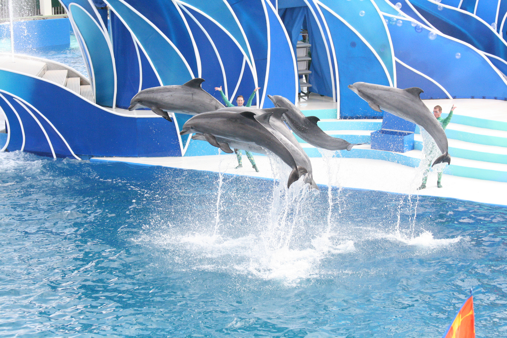 Sea World / Delphin Show