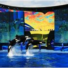 Sea World