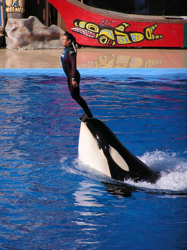 Sea World in San Diego