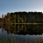 Seachten bei Andechs im Naturschutzgebiet