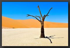 Namibia / Dead Vlei