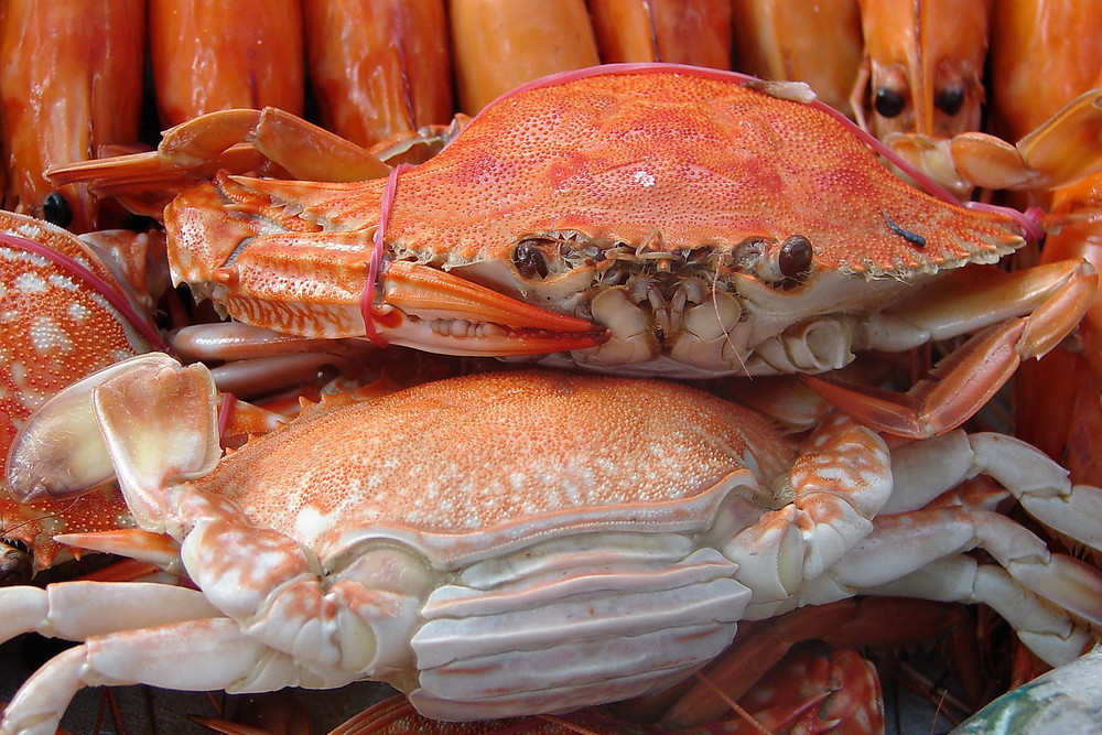 Seafood Thailand von Guenter Maier