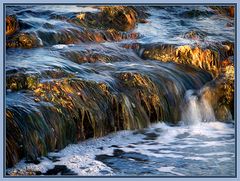 Seagrass in the surf