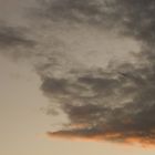 Seagul and Sky