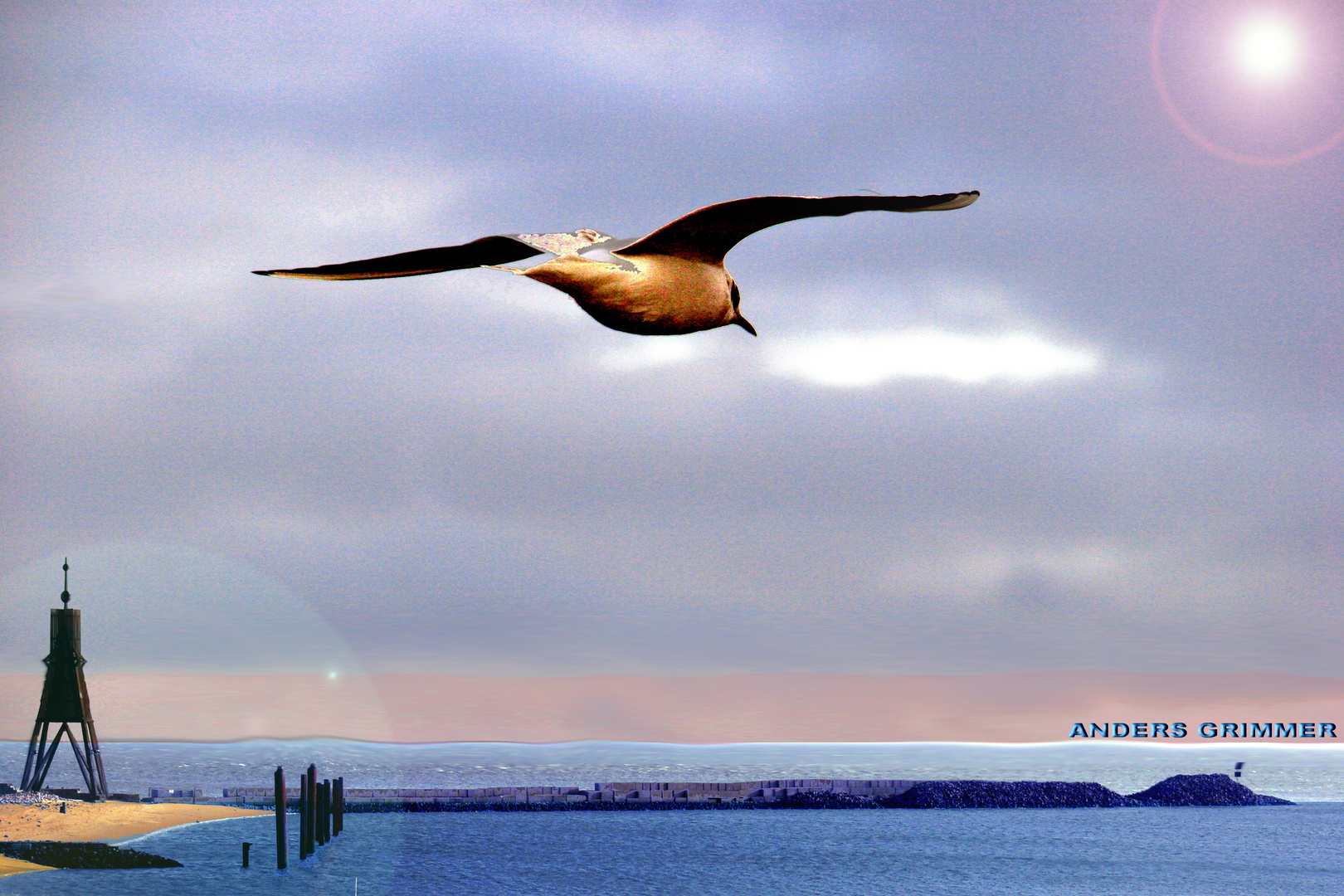 SEAGULL IN GRIMMER'S HOERN, CUXHAVEN