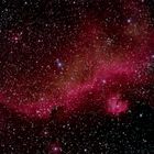 Seagull Nebula IC 2177: Der Möwennebel im Sturzflug Richtung Horizont