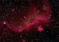 Seagull Nebula IC 2177: Der Möwennebel im Sturzflug Richtung Horizont