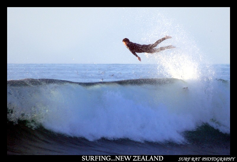 seagull or surfer