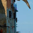 seagull over rovinj