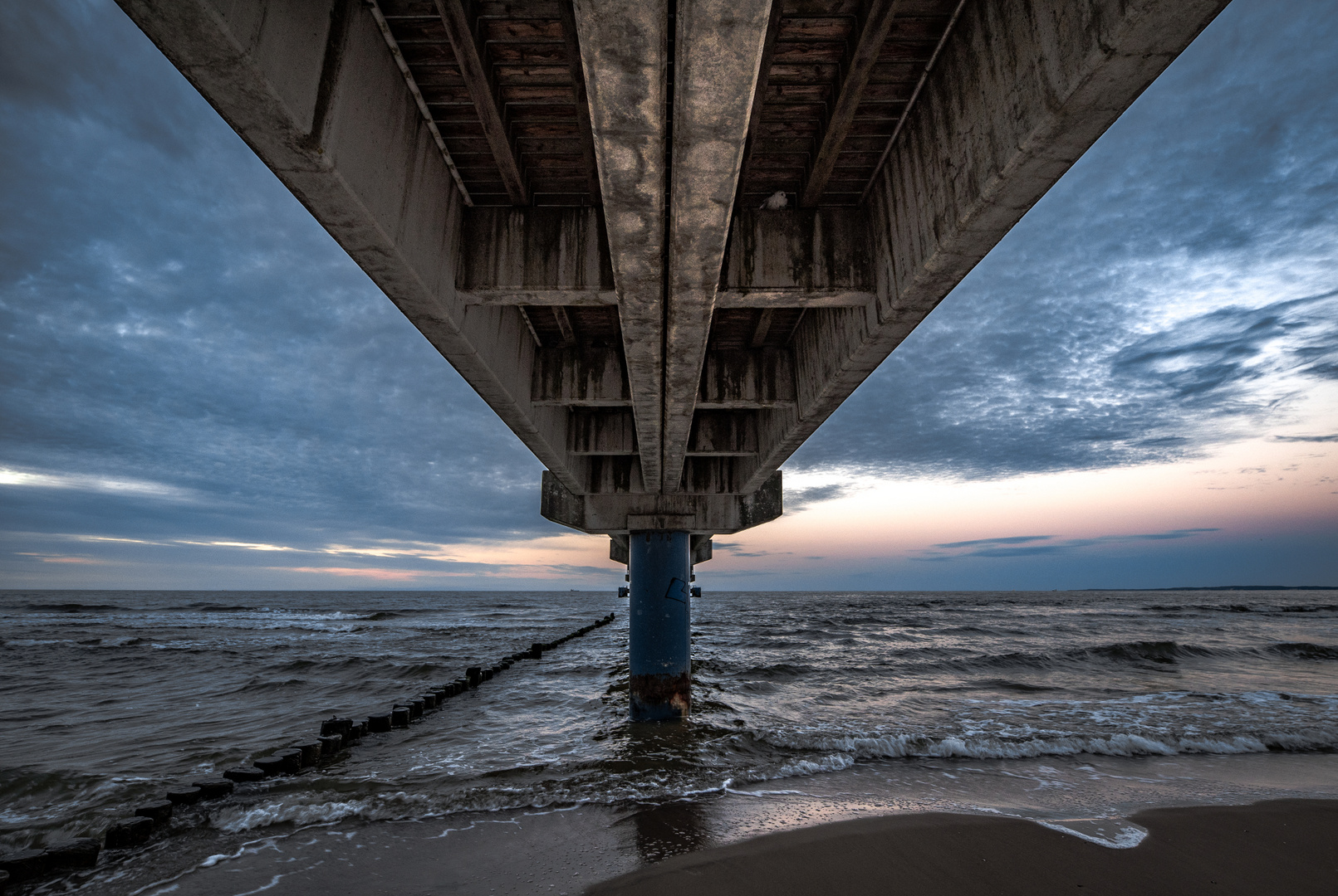 seagull under a bridge at Baltic sea