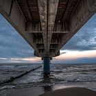 seagull under a bridge at Baltic sea