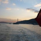 Seagulls and sunset in Bosphorus