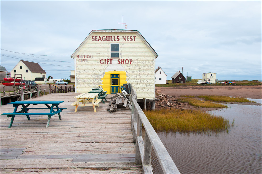 [ Seagulls Nest ]