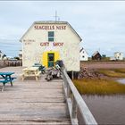 [ Seagulls Nest ]