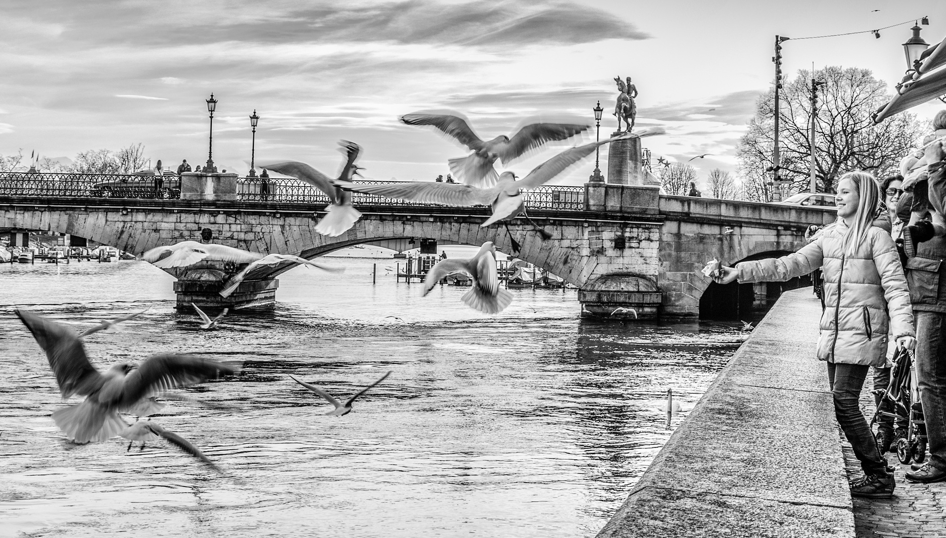 Seagulls On Approach