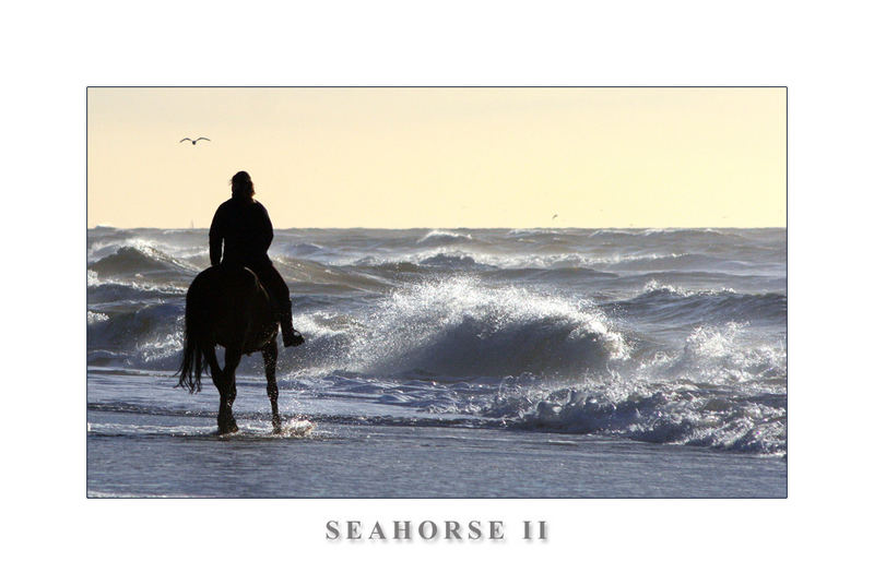 Seahorse II